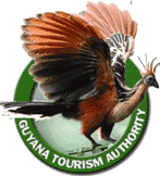 Guyana Tourism Authority